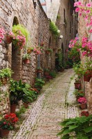 /album/la-vida-una-magnifica/giverny-francia-jpg/